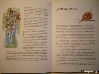 Николай Осипов: Заколдованное дерево