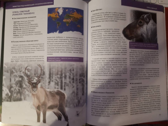 Скалдина, Слиж: Красная книга. Животные мира