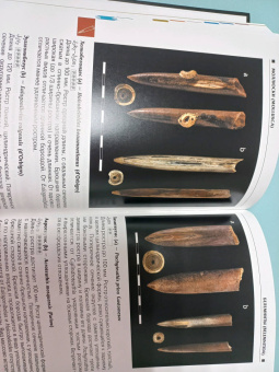 Шмаков, Дадыкин, Верлатова: Ископаемые Московского региона. Атлас-определитель