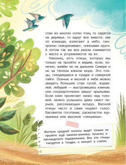 Петр Волцит: Куда летят перелётные птицы?