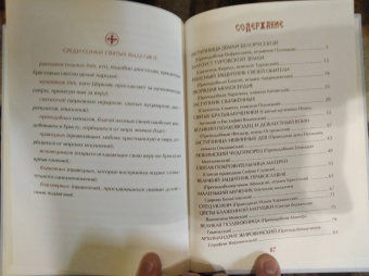 Ирина Токарева: Светильники земли Белорусской. Избранные жития белорусских святых для детей