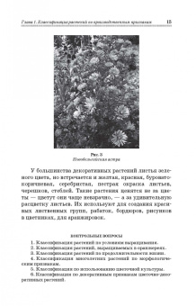 Шаламова, Крупина, Миникаев: Цветоводство. Практикум. Учебное пособие
