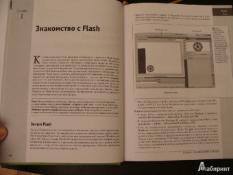Крис Гровер: Flash CS5. Практическое руководство +DVD