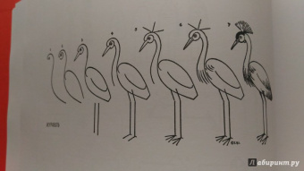 Эдвин Лутц: Что рисовать и как рисовать. Пошаговые техники для тех, кто хочет стать художником за 5 минут