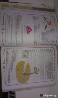 Нурдан Дамла: 365 дней с любимым Пророком