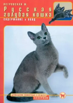 Мария Островская: Русская голубая кошка. Содержание и уход