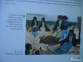 Светлана Лаврова: Занимательная химия