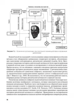 Городничев, Шляхтов: Физиология координационных способностей спортсменов. Монография