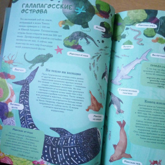 Амандин Тома: Через океаны