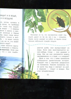 Виталий Танасийчук: Сколько глаз у стрекозы?