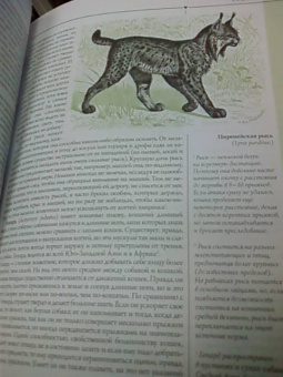 Альфред Брем: Жизнь животных. Самая важная и интересная информация, дополненная современными данными