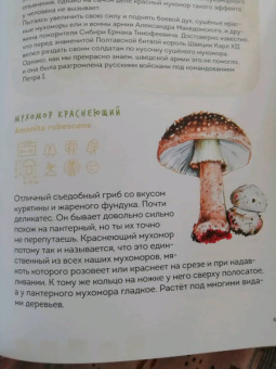 Михаил Вишневский: Грибы. Атлас-определитель