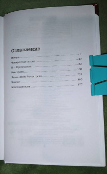 Кэролайн Кепнес: Провидение