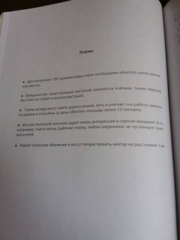 Соедини по точкам. Насекомые