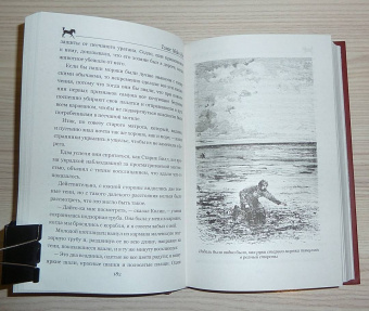 Рид Майн: Пиратский остров. Молодые невольники