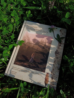 Елена Тын: Истории волшебного леса. Рецепты, рассказы, рукоделие и чудесные поделки, вдохновлённые природой