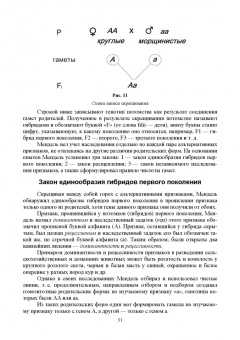 Уколов, Шараськина: Ветеринарная генетика. Учебник для вузов