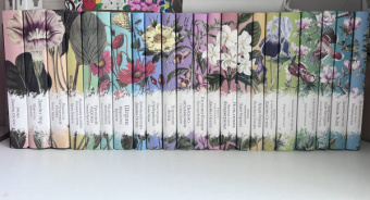 Шарлотта Бронте: Шерли