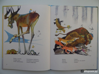 Юрий Коринец: Лесное состязание