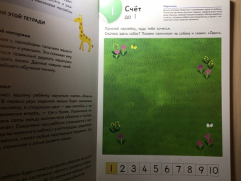Считаем и играем. Числа от 1 до 10