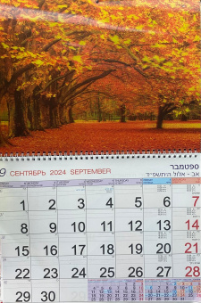 Календарь Стерео на 2025-2026 год: Оранжевая осень