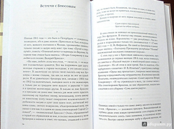 Игорь Северянин: Уснувшие весны. Критика. Мемуары. Скитания