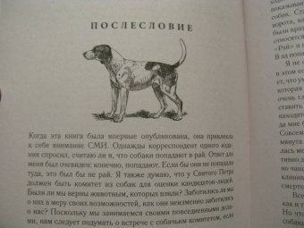 Элизабет Томас: Собаки и тайны, которые они скрывают. Легендарный бестселлер о сознании, поведении и привычках