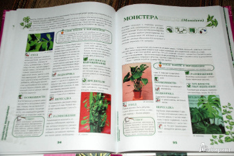 Иллюстрированная энциклопедия комнатных растений