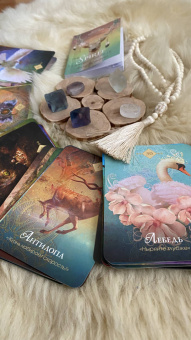 Колетт Барон-Рид: The Spirit Animal Oracle. Духи животных. Оракул, 68 карт и руководство в подарочном оформлении