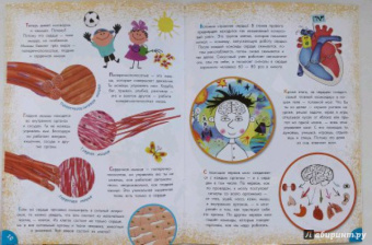 Вера Иванова: Как устроен человек?