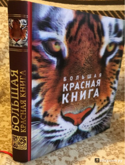 Скалдина, Слиж: Большая Красная книга (стерео-варио) 3D-обложка