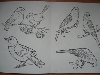 Татьяна Коваль: Домашние любимцы