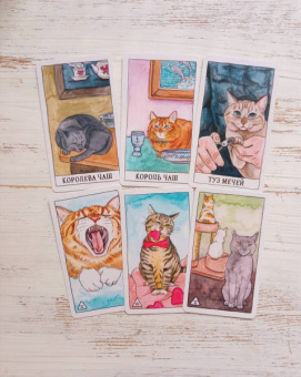 Котт Линн: Cat Tarot. Таро Котиков, 78 карт и руководство в подарочном футляре