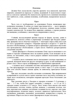 Стекольников, Щербаков, Яшин: Декоративное собаководство. Учебное пособие для вузов