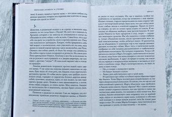 Фернандо Арамбуру: Стрижи