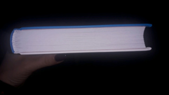 Эдвин Хилл: Слабое утешение