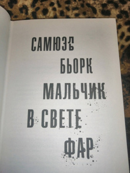 Самюэль Бьорк: Мальчик в свете фар