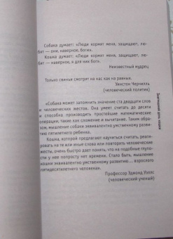 Бернар Вербер: Завтрашний день кошки