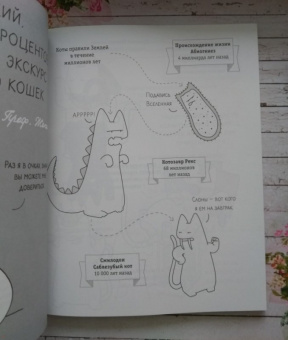#опокот. Самый гадкий кот на свете (красный)