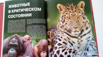 Скалдина, Слиж: Красная книга. Животные мира