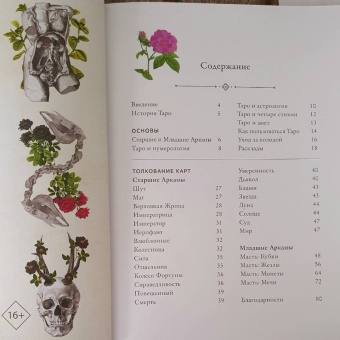 Клэр Гудчайлд: Antique Anatomy Tarot. Таро античной анатомии