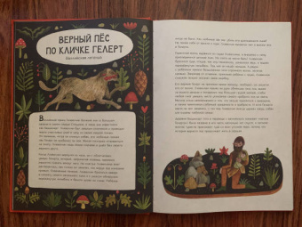 Клэр Кок-Старки: Волшебный мир природы. Сказки, мифы и легенды