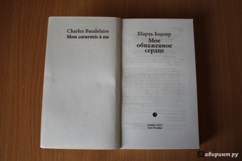 Шарль Бодлер: Мое обнаженное сердце:  Статьи, эссе