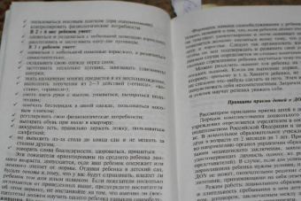 Давыдова, Майер: Детский сад:  Самоучитель для родителей (путеводитель по детскому саду)
