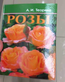 Александра Теорина: Розы. Моё увлечение