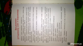 Мамин-Сибиряк, Толстой: Топтыгины сказки