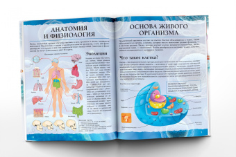 Анна Спектор: Тело человека