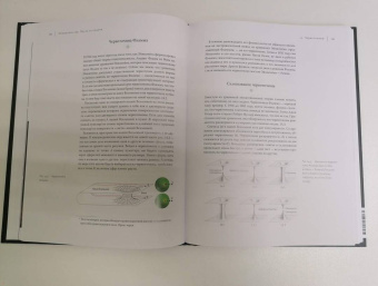 Кип Торн: Интерстеллар. Наука за кадром
