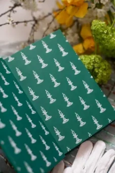 Джейн Остен: Гордость и предубеждение