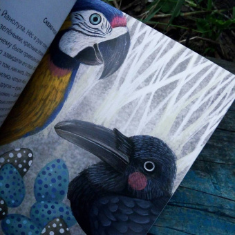 Цветные сказки